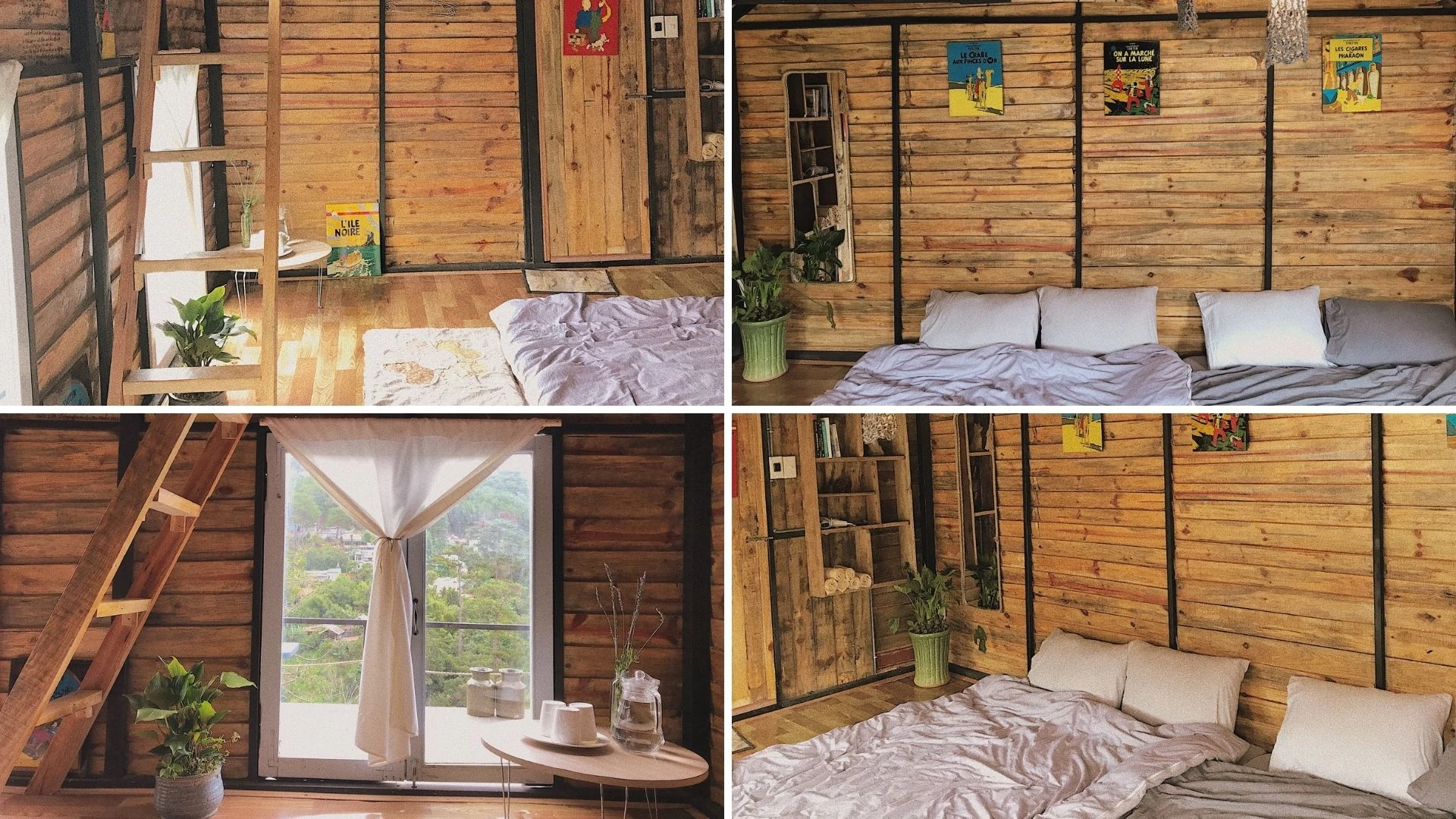 Cú Trên mây - Homestay Đà Lạt 