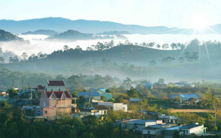 Cẩm nang du lịch Đà Lạt 2025 – Khám phá Thành Phố sương mù như dân bản xứ