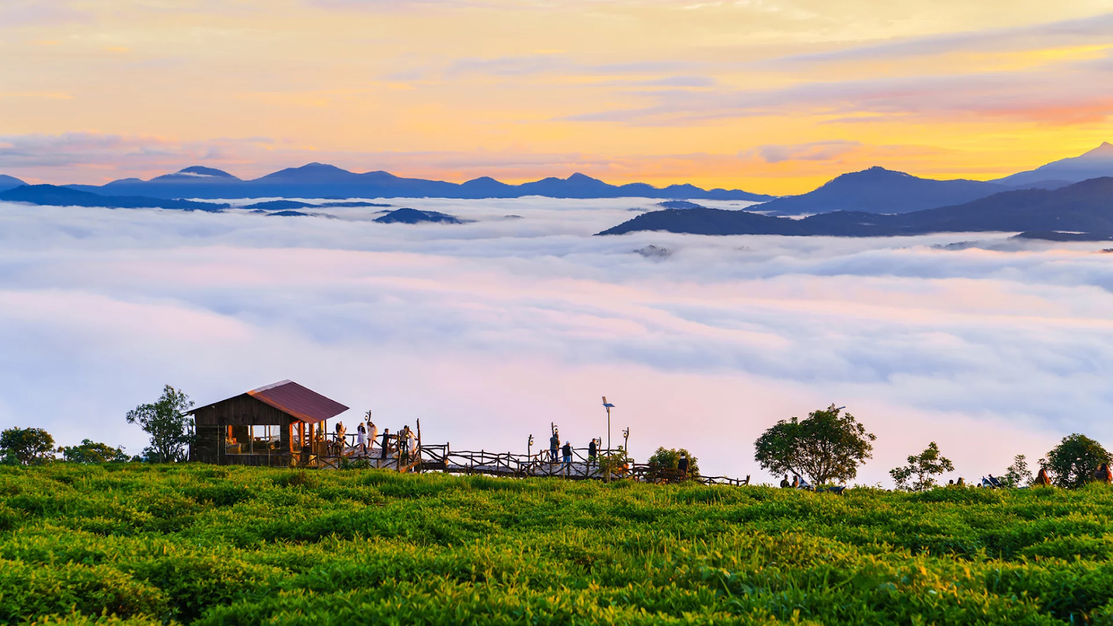 Săn mây Đồi chè Cầu Đất - quán nướng Đà Lạt