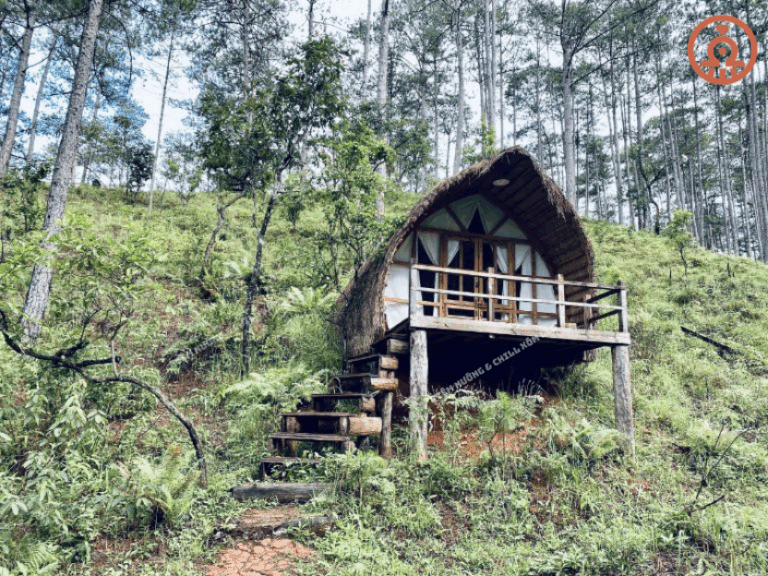 Gợi ý homestay Đà Lạt cho chuyến đi 3 ngày 2 đêm
