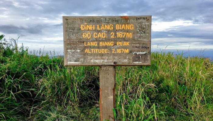Độ cao đỉnh Langbiang