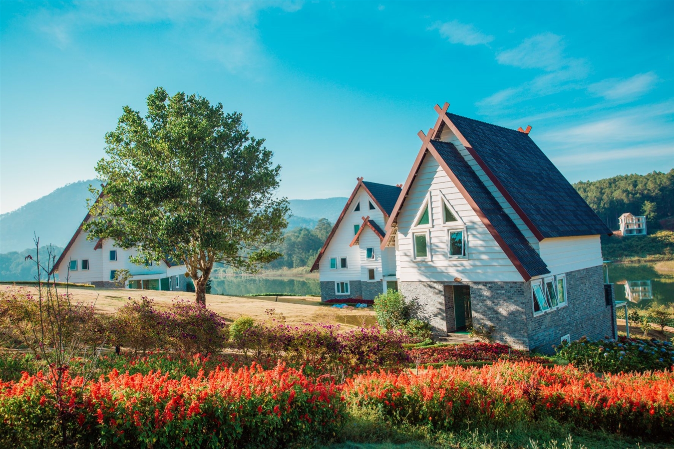 Dalat Wonder Resort - thác Datanla